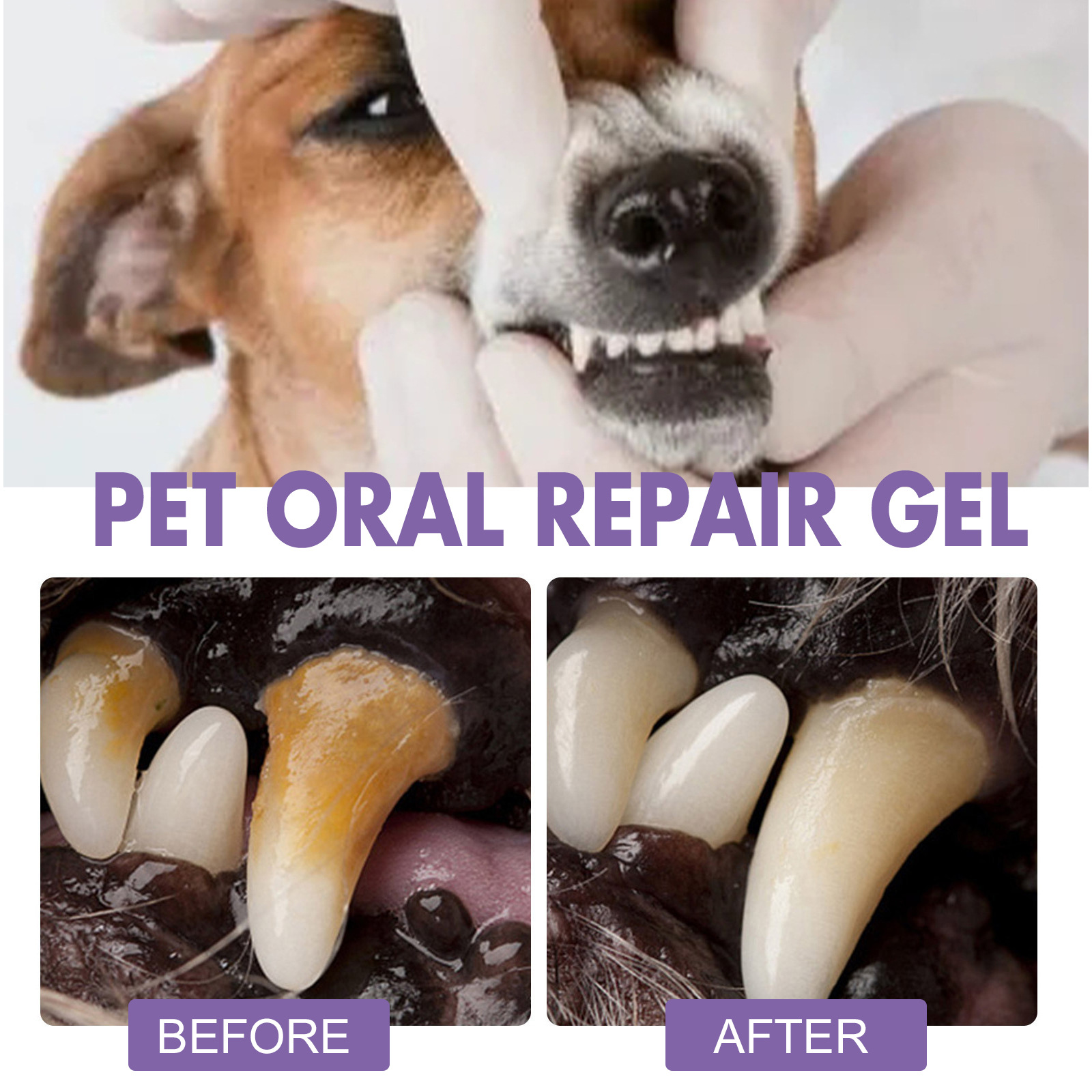 Gel de réparation orale pour a - Teeth Whitening Gels Used By Dentists avis et prix